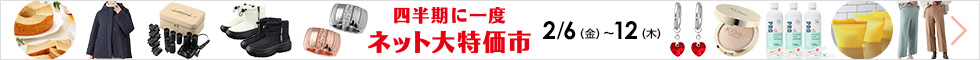 四半期に一度　ネット大特価市