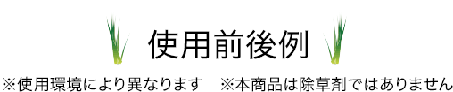 使用前後例
