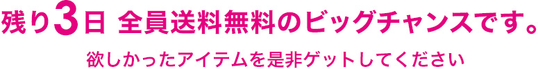 残り3日 全員送料無料のビッグチャンスです。欲しかったアイテムを是非ゲットしてください