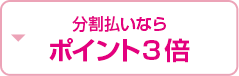 分割払いならポイント3倍