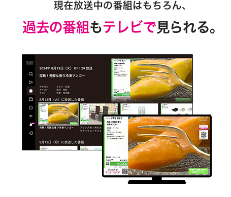 現在放送中の番組はもちろん、過去の番組もテレビで見られる。