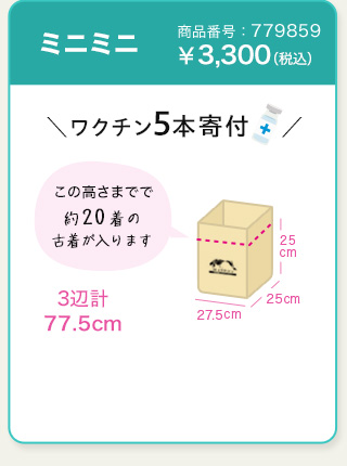 ミニミニ