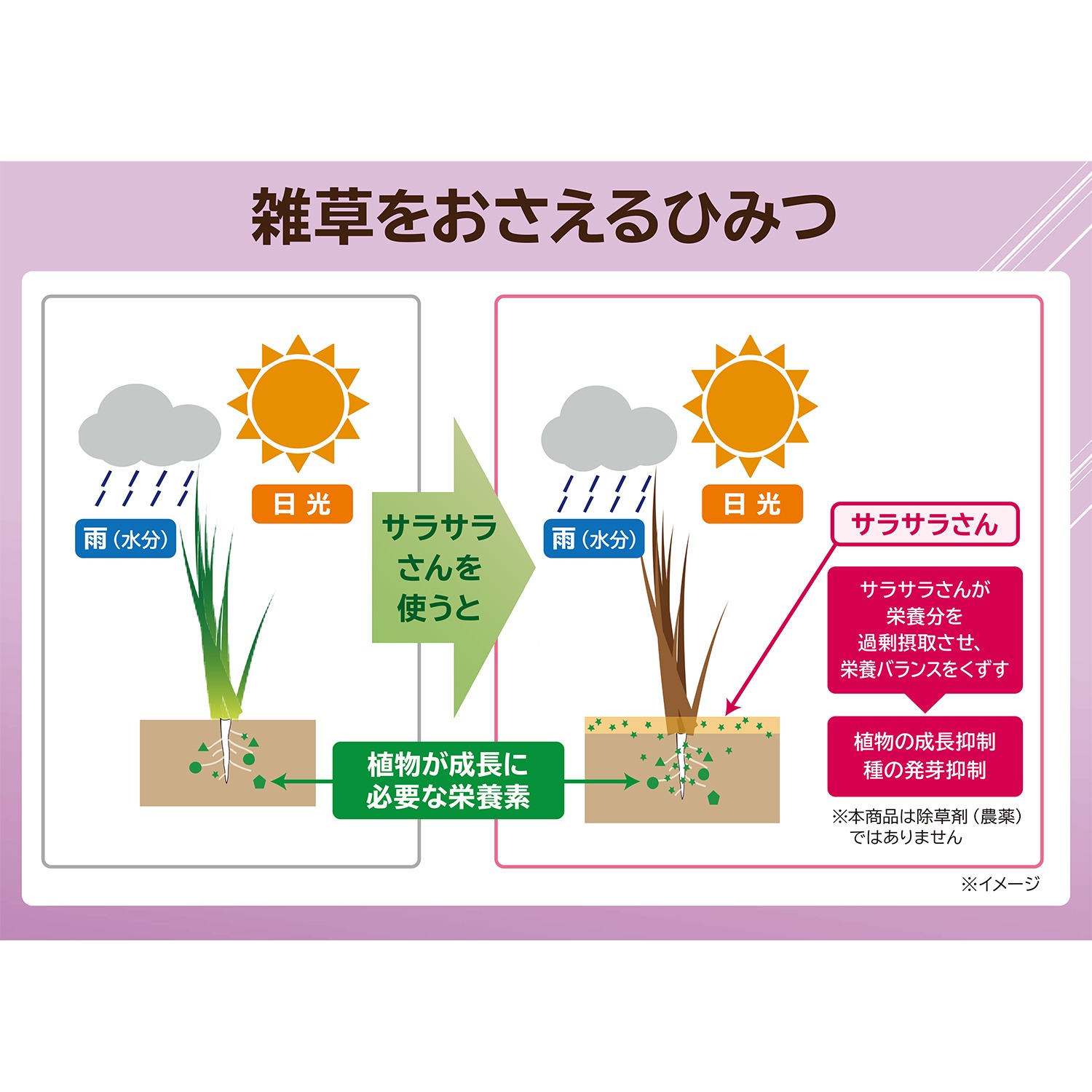 敷くだけで簡単に
雑草の発生を抑制！
固めない防草サラサラさん
２袋セット