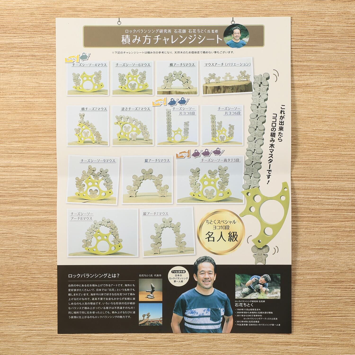 積み上げたり、飾ったり 想像力を刺激する ココロの積み木 特別セット