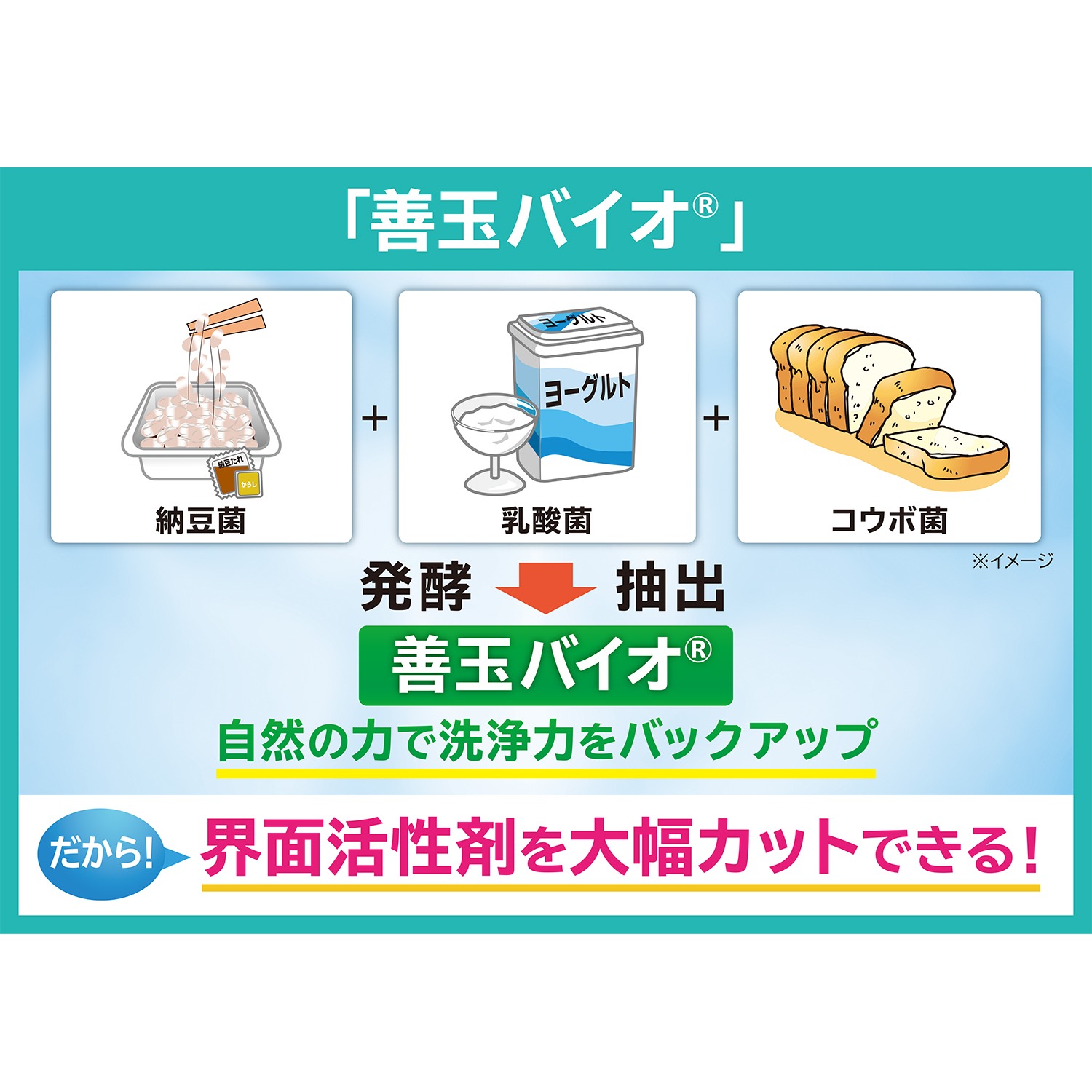 善玉バイオ お気に入りの衣類を やさしくしっかり洗う！ エレガントウォッシュ 詰替パウチ６個セット