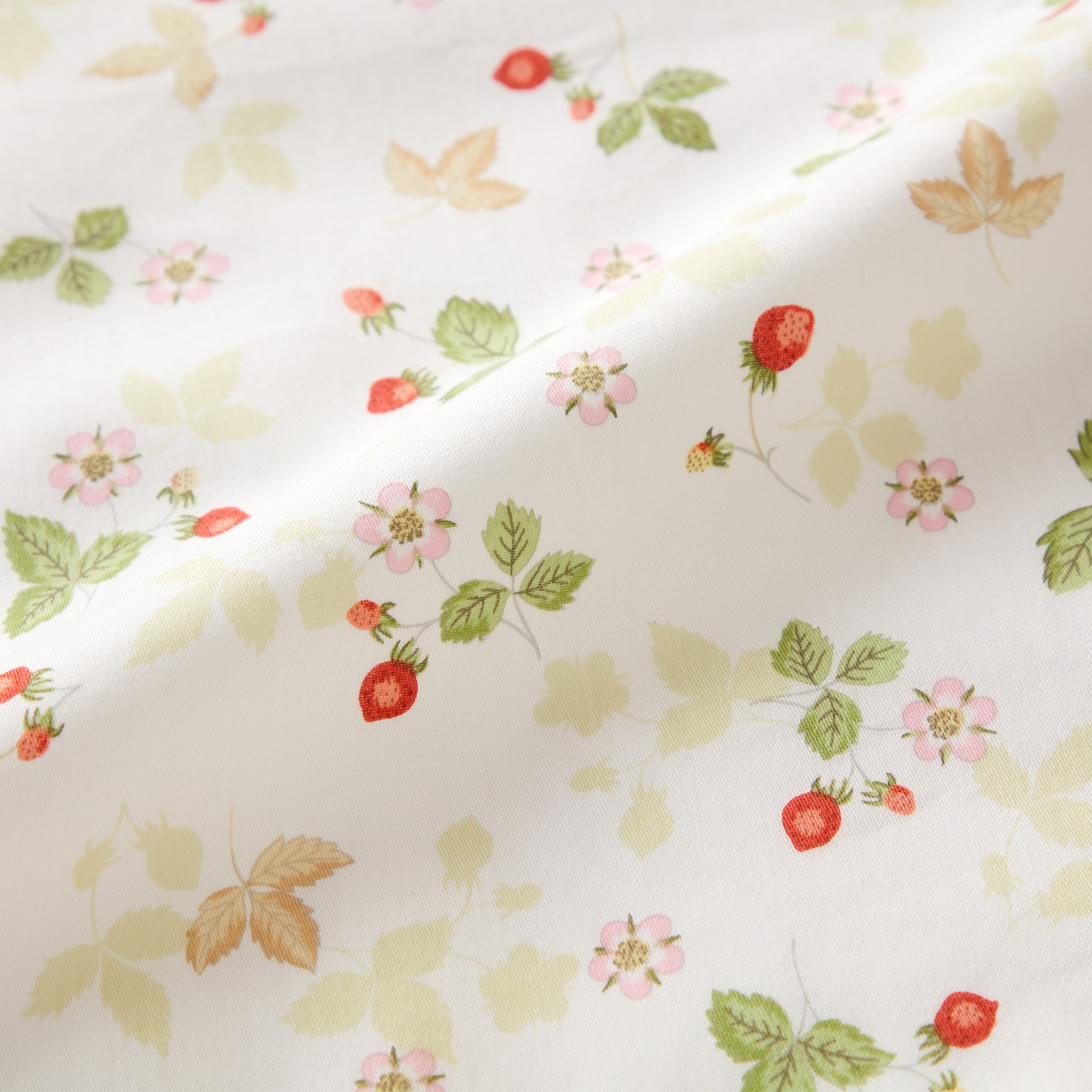 ＜セミダブル＞ウェッジウッド ワイルドストロベリー コットン１００％ クイックシーツ 