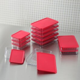 ビバライズ ビバ　フラットフラット 密閉保存容器 同色１２個セット 