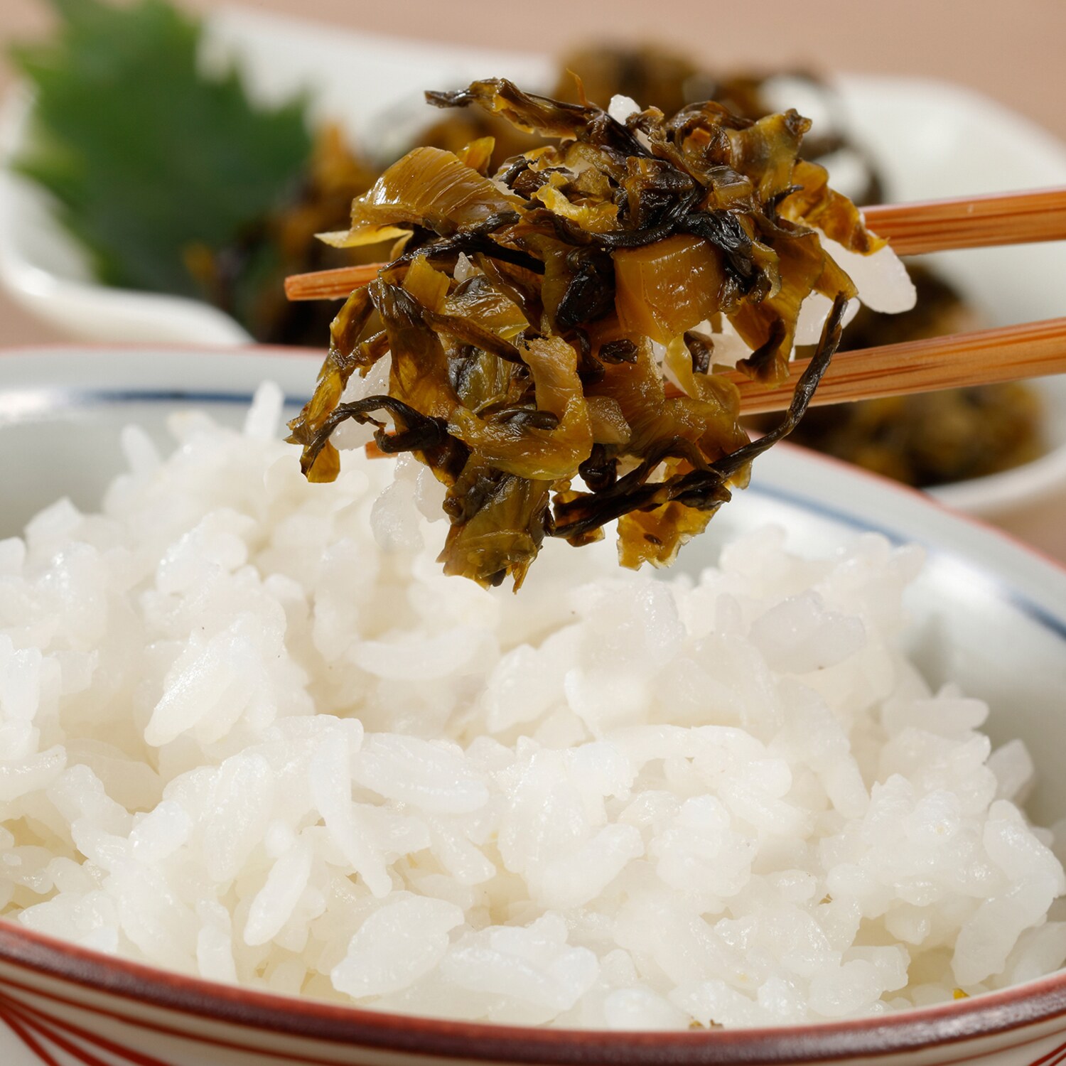 創業１００年 瀬高産三池高菜 しそ高菜