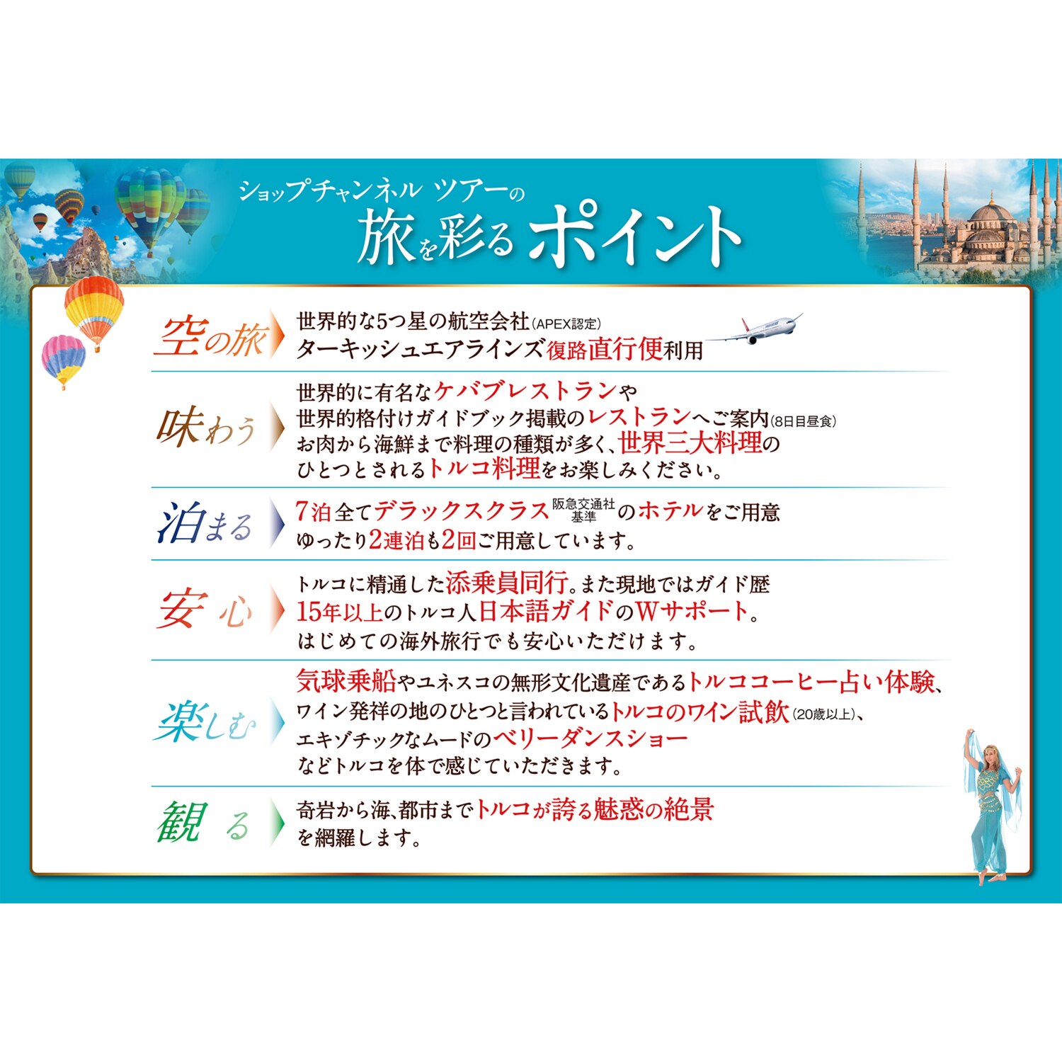 大人時間を愉しむ 魅惑の絶景トルコと 青の秘境メイス島 １０日間　２名１室 ＜羽田空港　９月出発＞