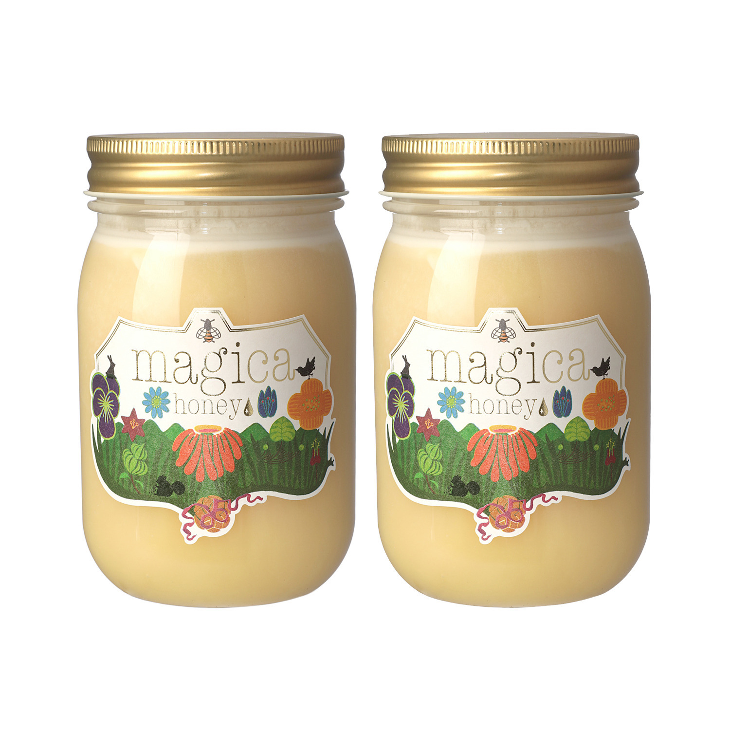 アルゼンチン産 非加熱生はちみつ 酵素が活きてる “マヒカハニー” ２個セット