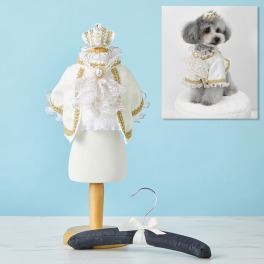 ラルイスレーヴ 小型犬用 お襟飾り付きジャケット ４点セット