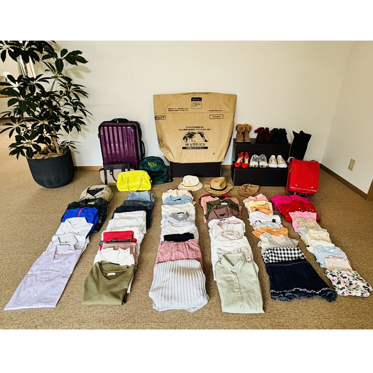 ＜スタンダード＞ 古着ｄｅワクチン ワクチンプラス 専用回収キット 