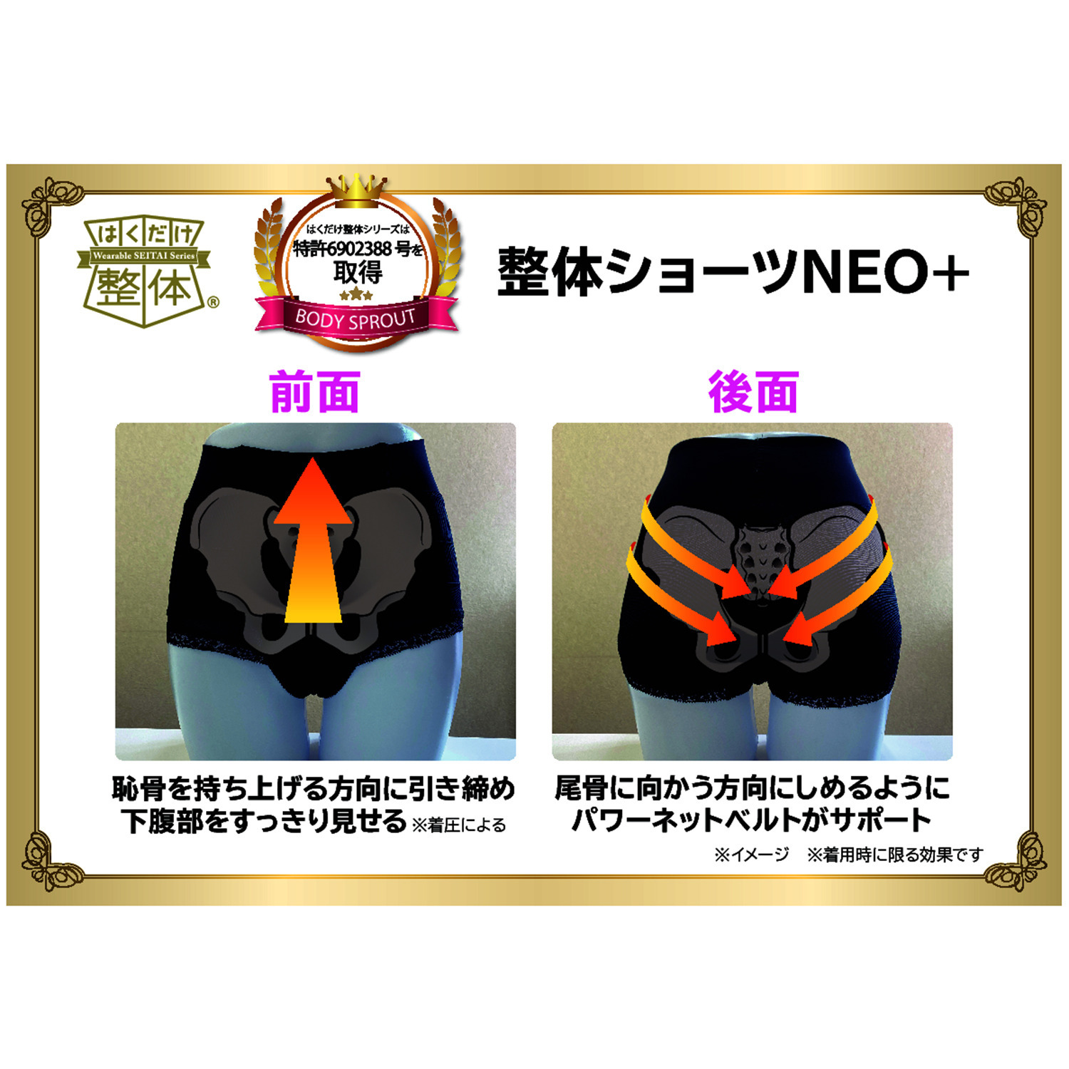 はくだけ整体 姿勢の専門家が開発！ 整体ショーツＮＥＯ＋ 同色２枚セット