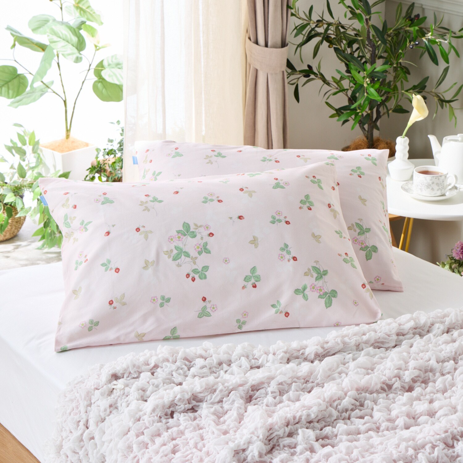 ウェッジウッド ワイルドストロベリー コットン１００％ ピローケース２枚組