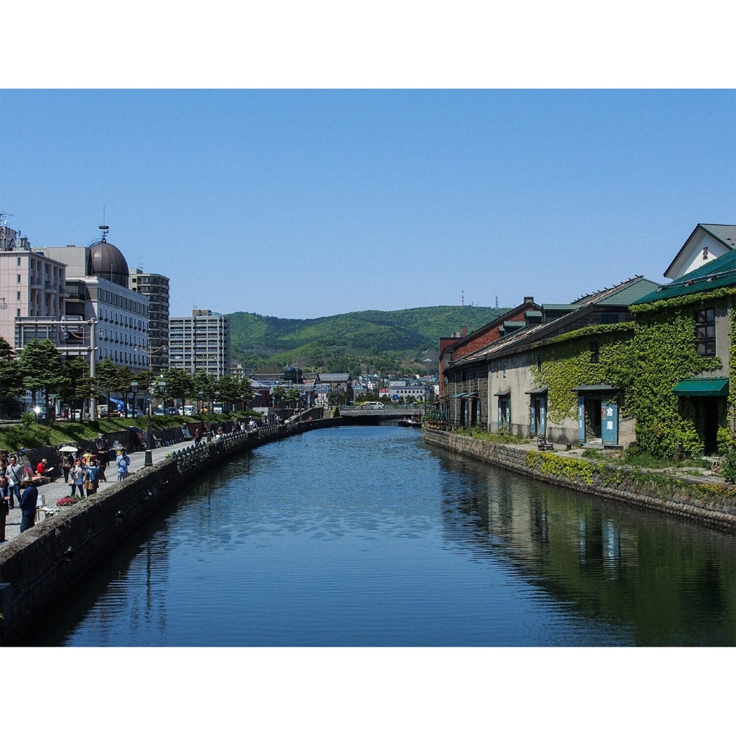 大人時間を愉しむ 初夏の北海道４日間 ２名１室 ＜中部国際空港発着＞