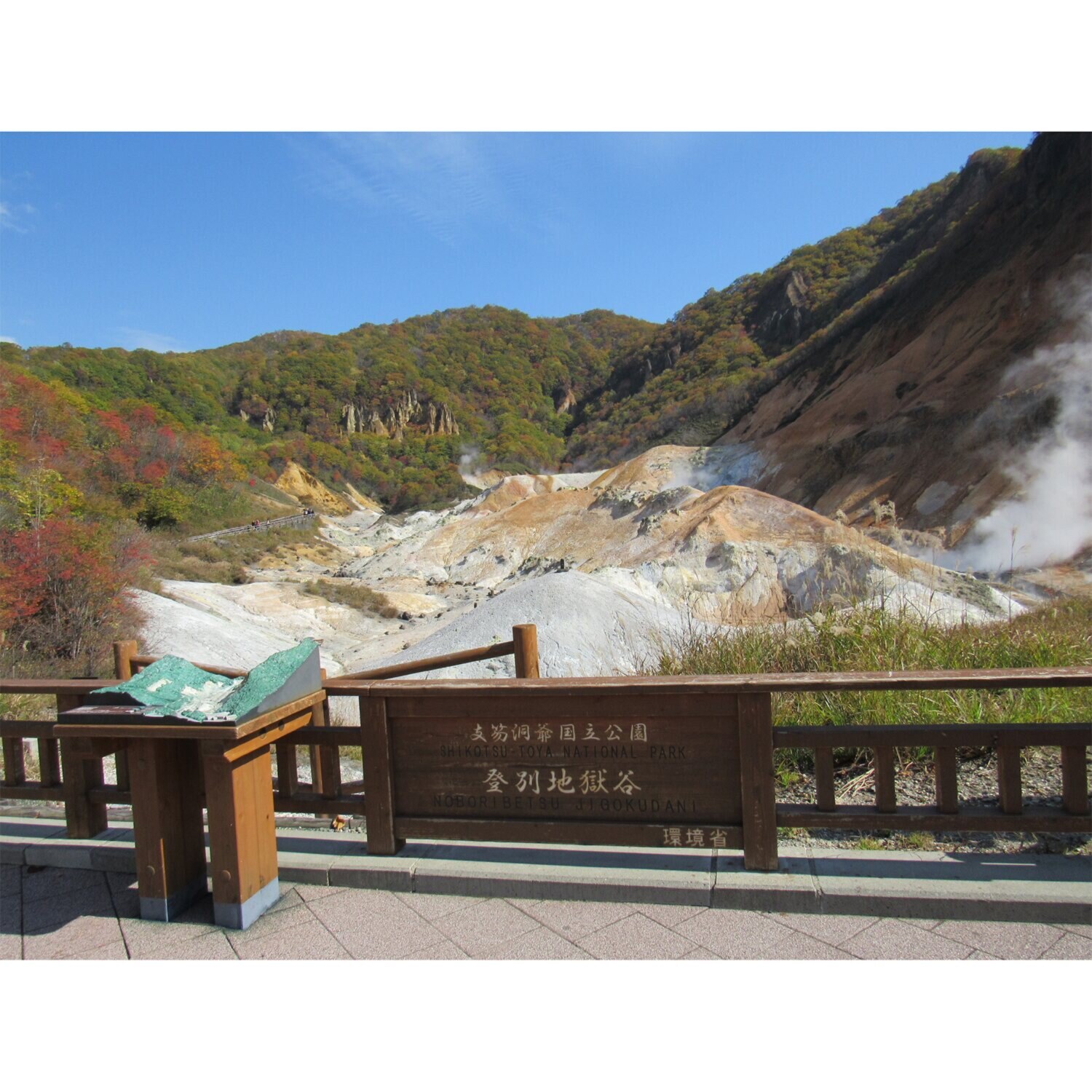 大人時間を愉しむ 初夏の北海道４日間 ２名１室 ＜神戸空港発着＞ 