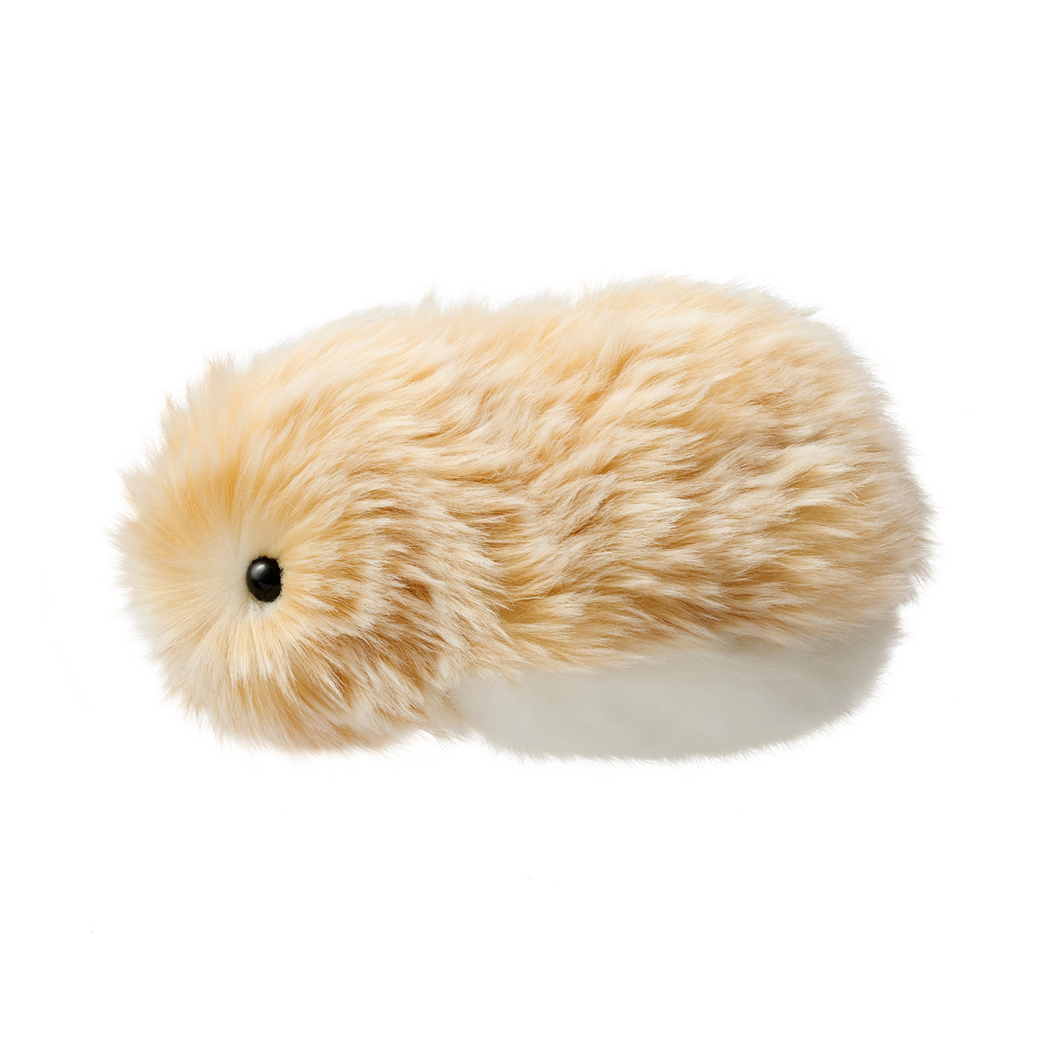 カシオ 人とふれあうことで 個性が育つ 感情をもつＡＩペット モフリン