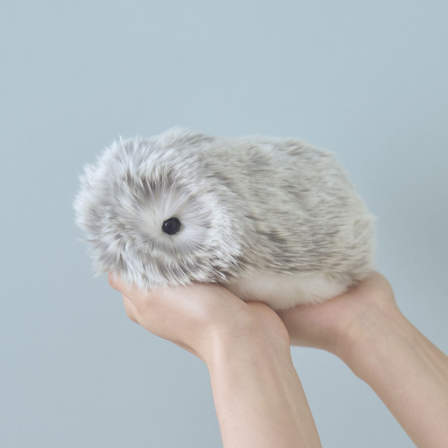 カシオ 人とふれあうことで 個性が育つ 感情をもつＡＩペット モフリン