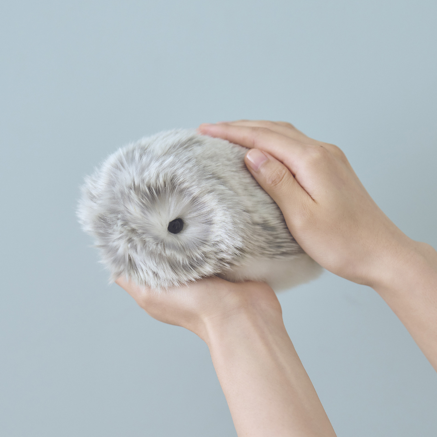 カシオ 人とふれあうことで 個性が育つ 感情をもつＡＩペット モフリン