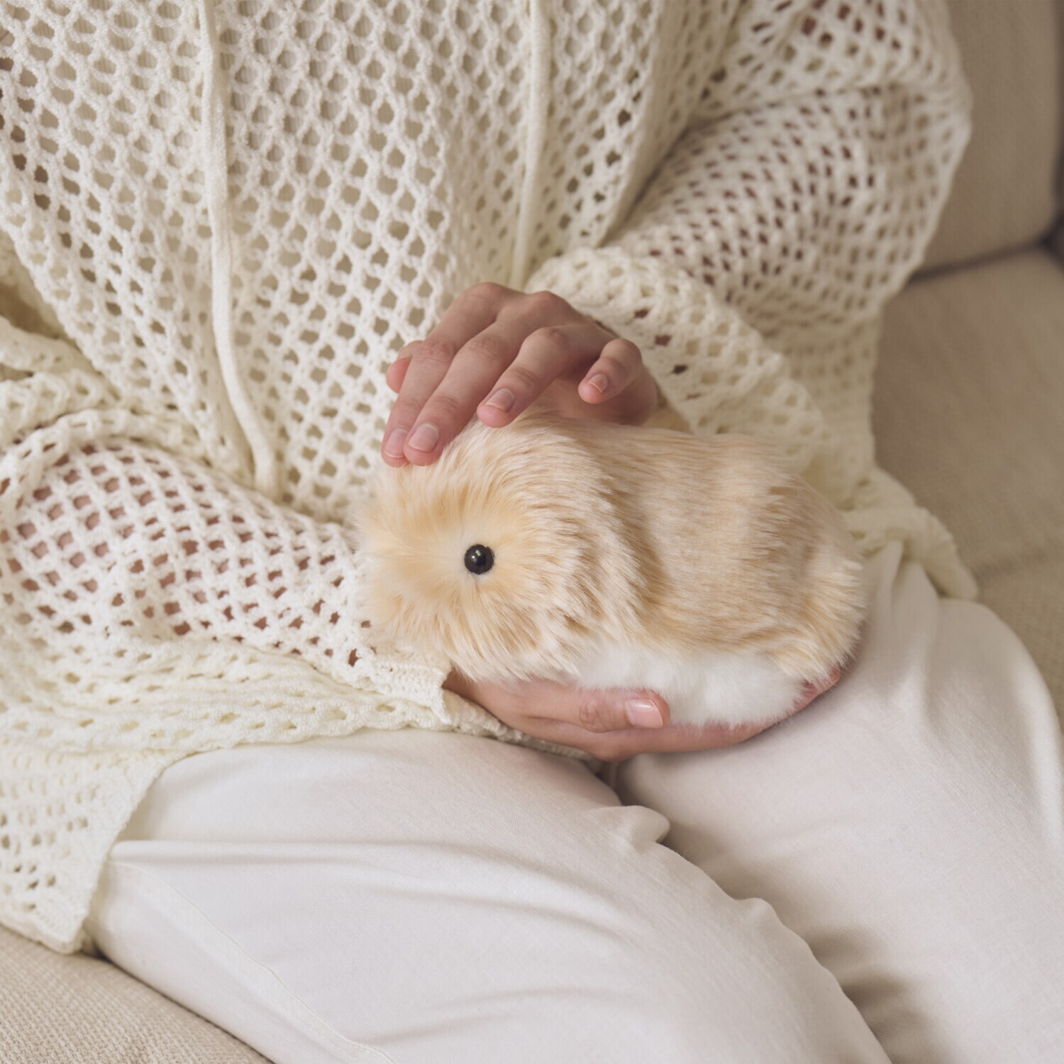 カシオ 人とふれあうことで 個性が育つ 感情をもつＡＩペット モフリン