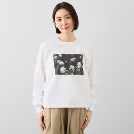 オールアワーズ コットン１００％ フォトプリントＴシャツ