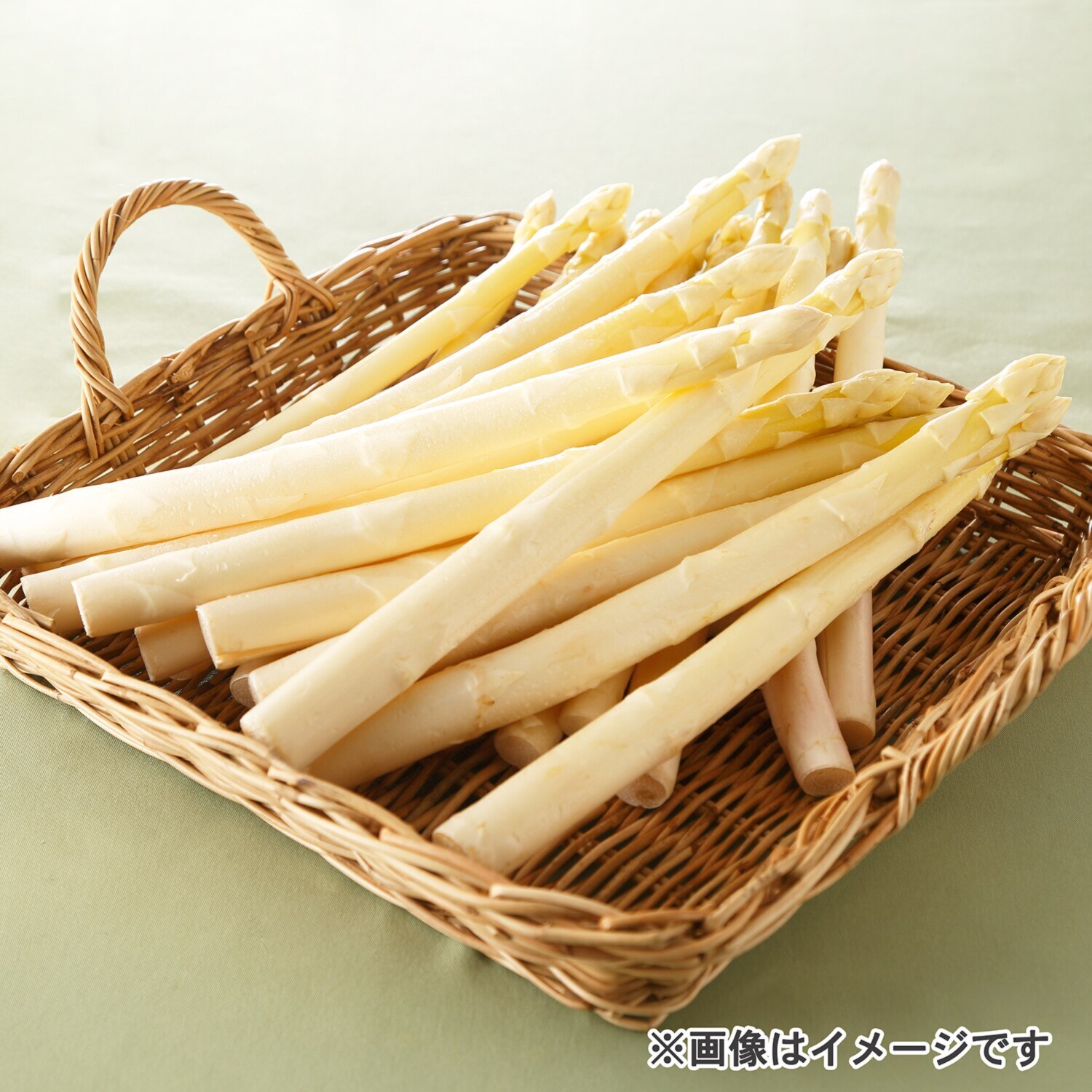 会津産！ ホワイトアスパラガス ２Ｌ〜３Ｌサイズ （新物）