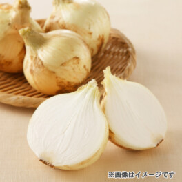 熊本県産玉ねぎ “サラたまちゃん”