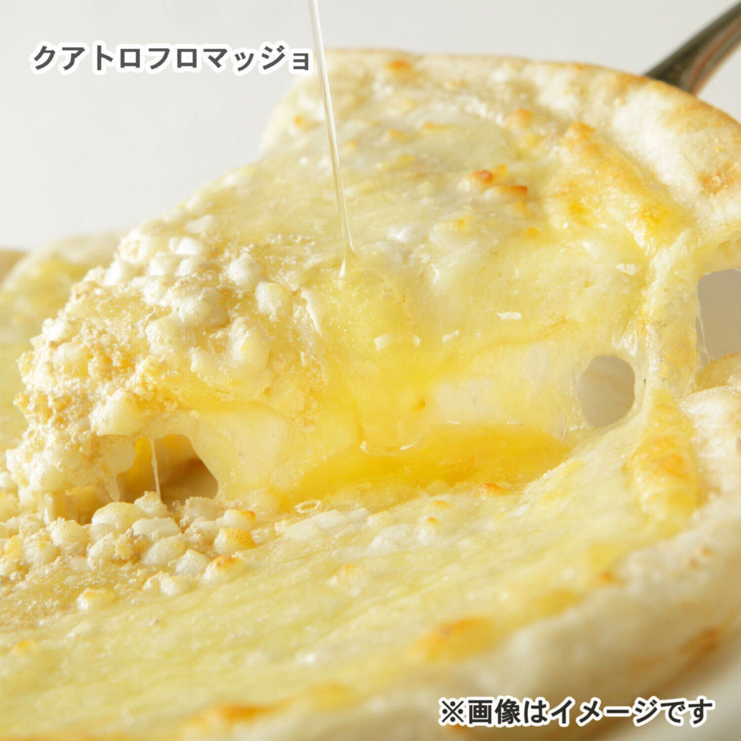 創業１００年！ ＭＣＣ ミラノ風薄焼きピッツァ ２０２５年初夏限定 スペシャルセット