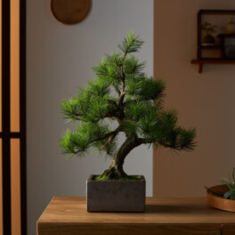 日本伝統の美学が息づく 枯れない盆栽 “Ａ−ＢＯＮＳＡＩ” ＜模様木＞ 信楽鉢付