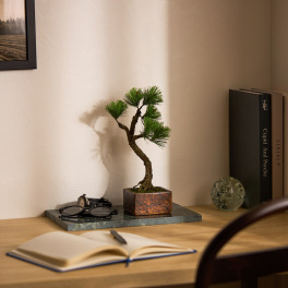 日本伝統の美学が息づく 枯れない盆栽 “Ａ−ＢＯＮＳＡＩ” ＜文人ライト＞ 信楽鉢付