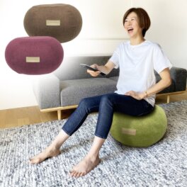 ラクちん新習慣！ ＜ながら＞で出来る バランス運動！ アクティバイタル エクササイズ　プフ
