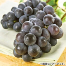 グルメ・お酒