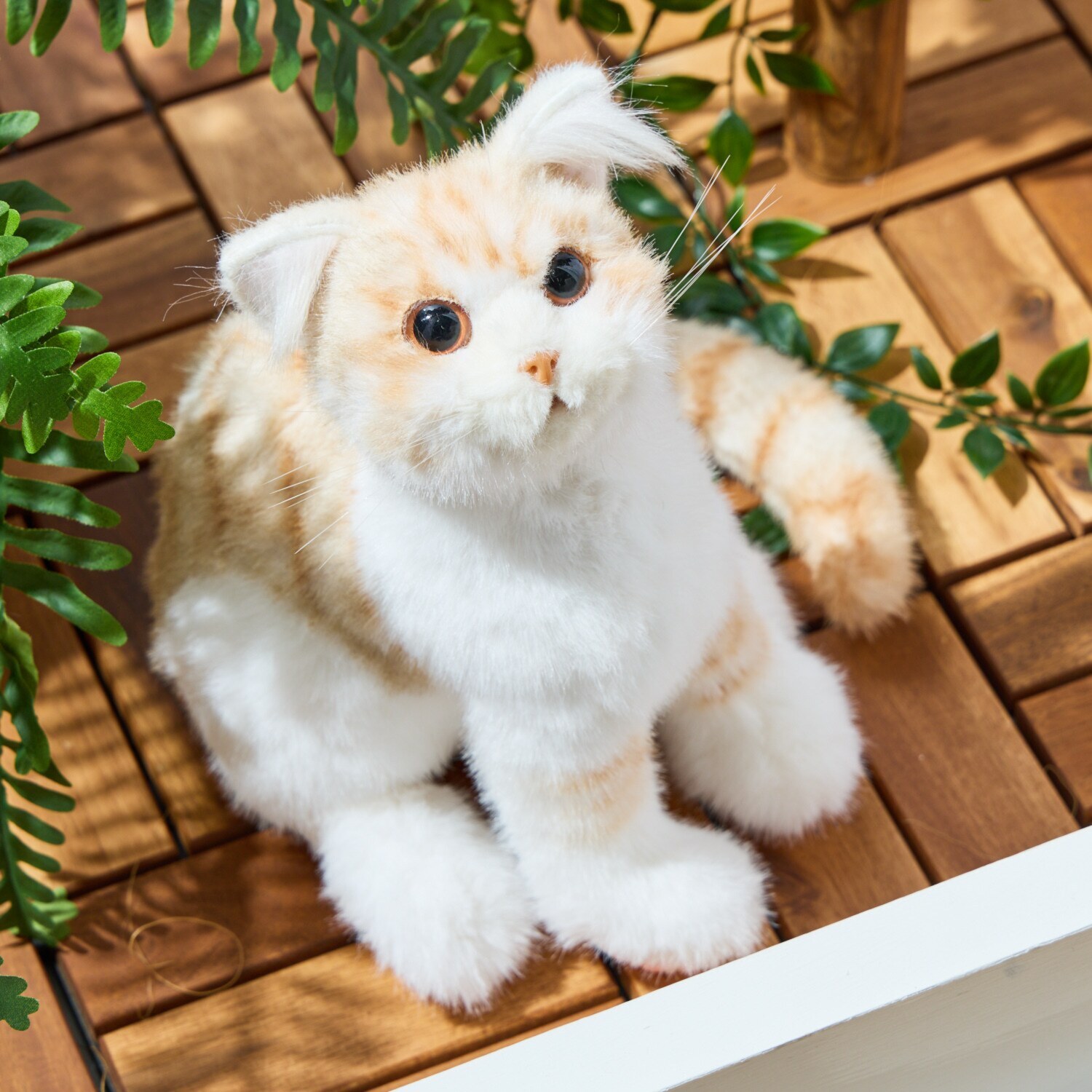 ペットのように 鳴いて応えてくれる なでなでねこちゃん ＜子猫ちゃん＞