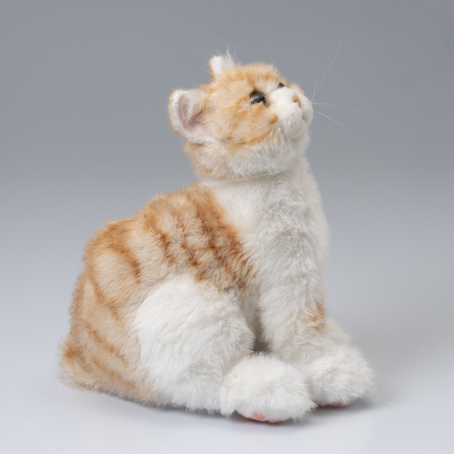 ペットのように 鳴いて応えてくれる なでなでねこちゃん ＜子猫ちゃん＞