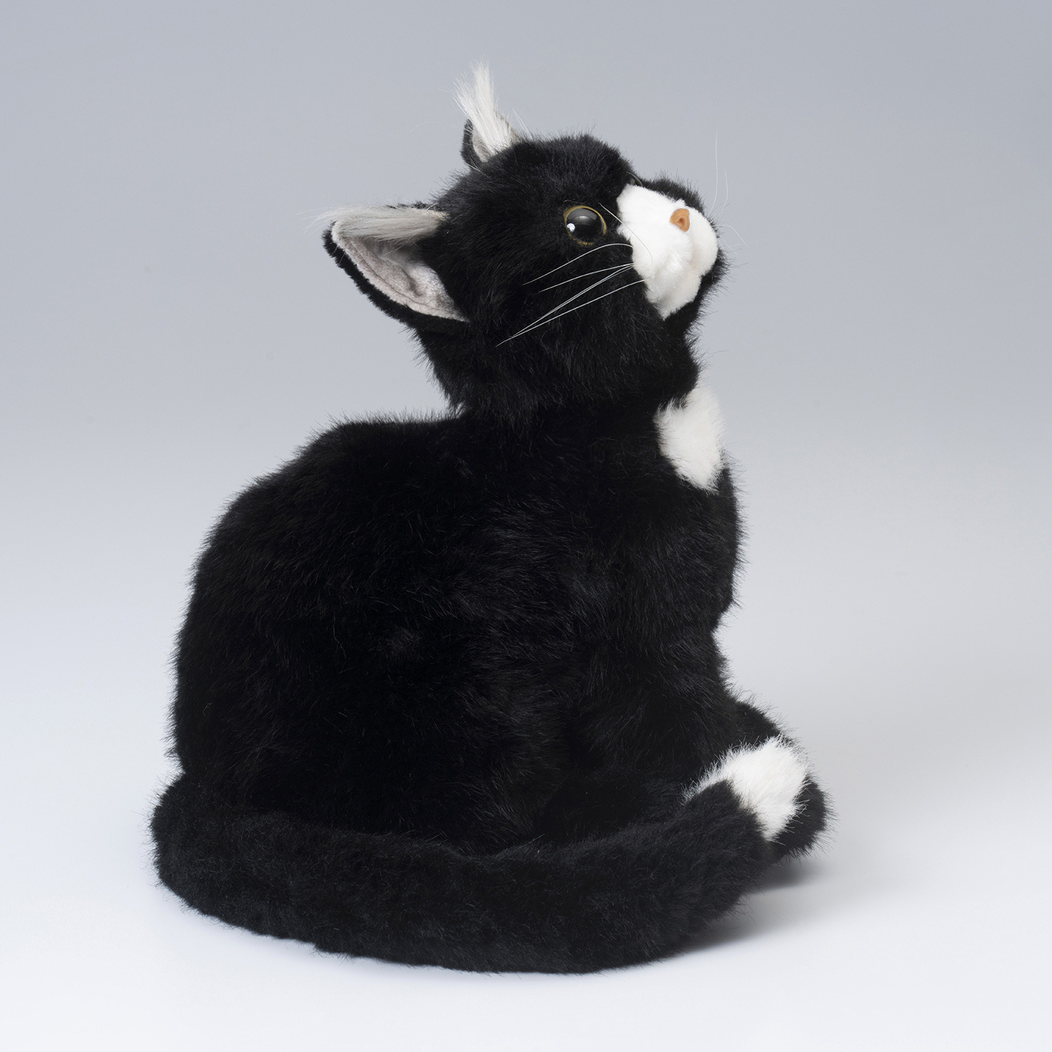 ペットのように 鳴いて応えてくれる なでなでねこちゃん ＜子猫ちゃん＞