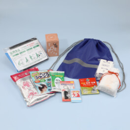 防災先進県高知発！ 女性防災士厳選 小さく畳める防災セット ＜女性用＞