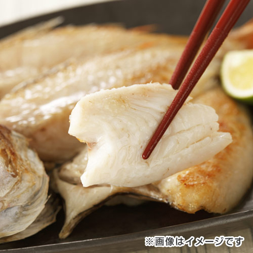 濃厚な旨み！ 山陰沖のどぐろの干物 （不揃い）
