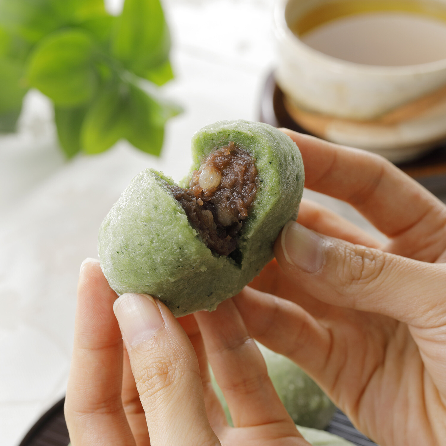 “亜月亭” 新潟県産こがねもち使用！ 白小豆入りよもぎ大福 （こしあん）