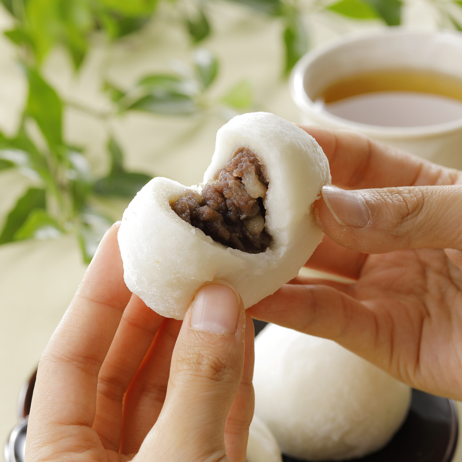 “亜月亭” 新潟県産こがねもち使用！ 白小豆入り大福 （こしあん）