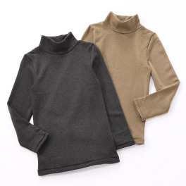 着まわし７デイズ カラーはお任せ！ 高保温・吸湿発熱　裏起毛 ハイネック カットソープルオーバー ２枚セット