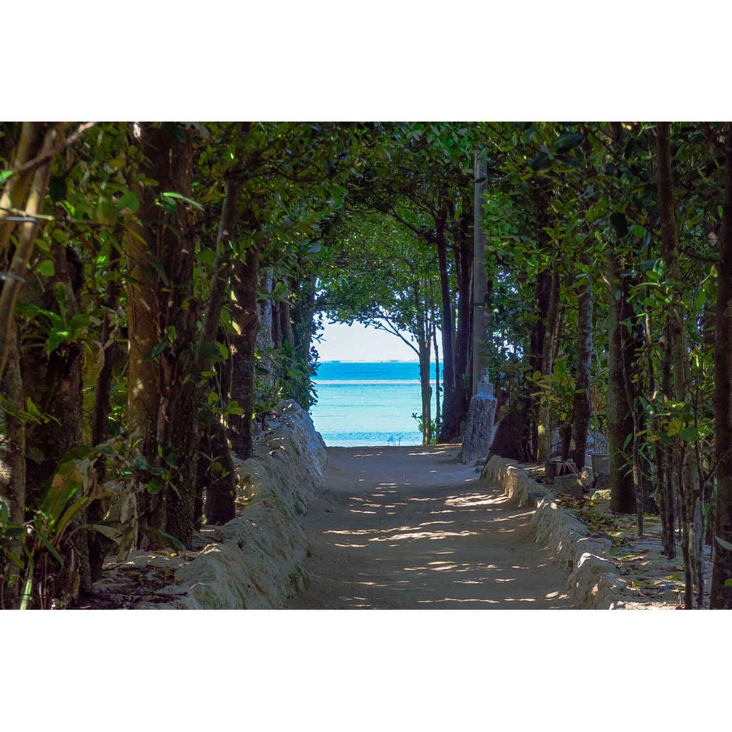 大人時間を愉しむ 南国美ら旅 沖縄４日間 ２名１室 ＜羽田空港発着＞