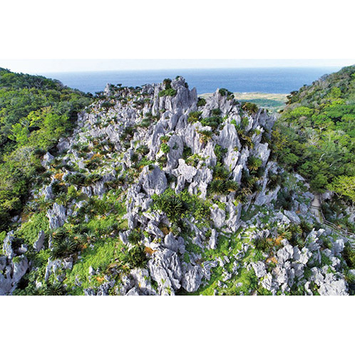 大人時間を愉しむ 南国美ら旅 沖縄４日間 ２名１室 ＜羽田空港発着＞