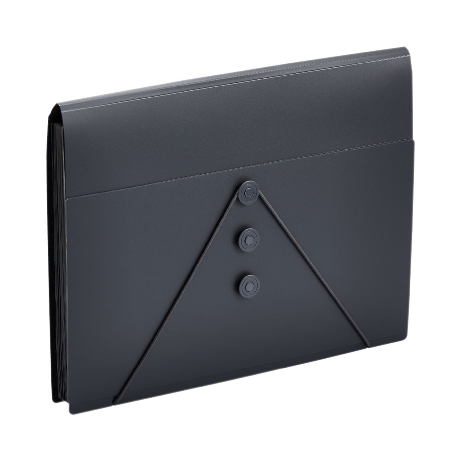 サクッと整理！ ドキュメントファイル 選べる２個セット ＜フタ付タイプ＞