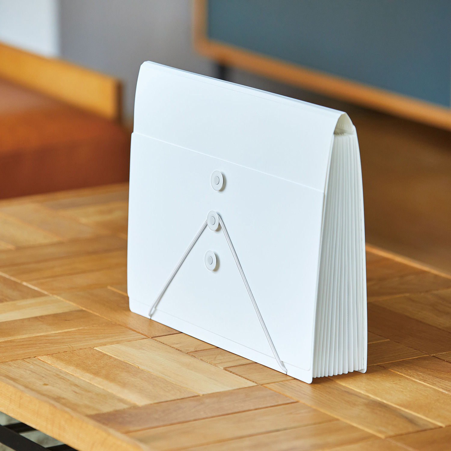 サクッと整理！ ドキュメントファイル 選べる２個セット ＜フタ付タイプ＞