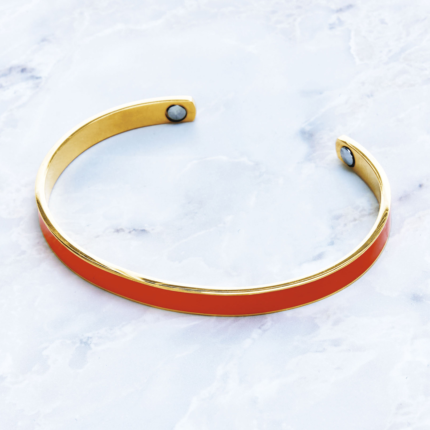 リジェップ 静電気対策バングル ２色セット