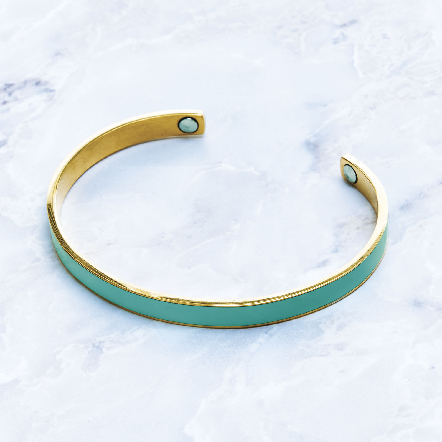 リジェップ 静電気対策バングル ２色セット