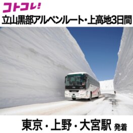 大人時間を愉しむ 立山黒部アルペンルート 上高地の旅３日間 ２名１室 東京・上野・大宮駅発着