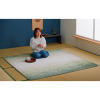 イケヒコ なだらか傾斜で つまずきにくい！ もっちりボリューム フリーエッジラグ ＜１８０×１８０ｃｍ＞