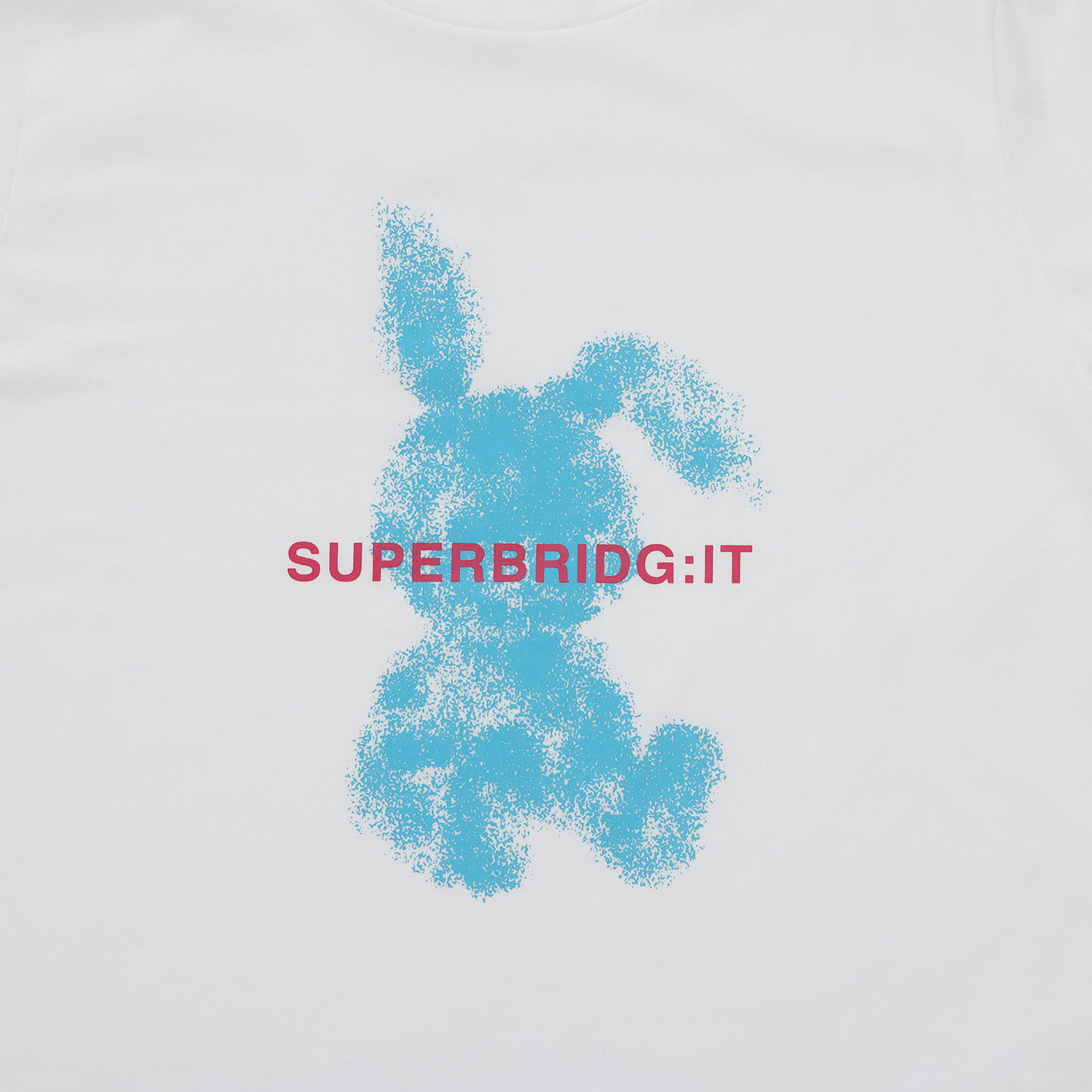 バイブリジット アートワークＴシャツ