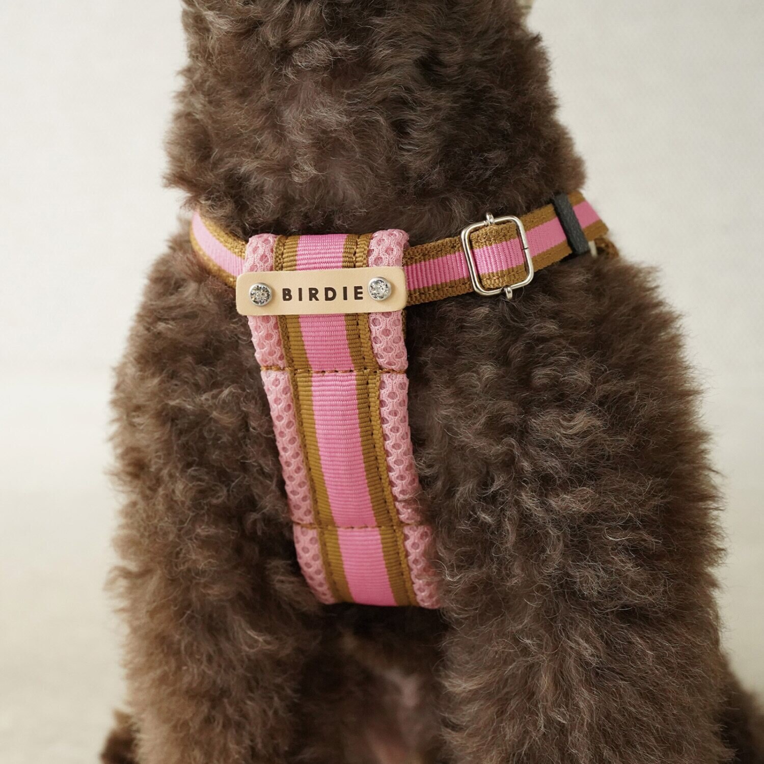 ＢＩＲＤＩＥ ラッセルクッション ハーネス＆リード ＜ＳＳ／Ｓ＞